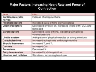 Major Factors Increasing Heart Rate and Force of
Contraction
 