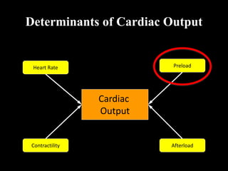 Cardiac
Output
Determinants of Cardiac Output
Heart Rate Preload
Afterload
Contractility
 