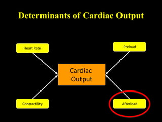 Cardiac
Output
Determinants of Cardiac Output
Heart Rate Preload
Afterload
Contractility
 