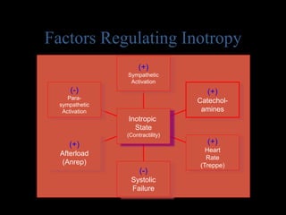 Factors Regulating Inotropy
(-)
Para-
sympathetic
Activation
(+)
Afterload
(Anrep)
(-)
Systolic
Failure
(+)
Heart
Rate
(Treppe)
(+)
Catechol-
amines
(+)
Sympathetic
Activation
Inotropic
State
(Contractility)
 