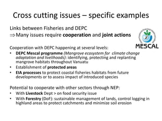 Cross cutting issues – specific examples
Links between Fisheries and DEPC
Many issues require cooperation and joint actions
Cooperation with DEPC happening at several levels:
• DEPC Mescal programme (Mangrove ecosystem for climate change
adaptation and livelihoods): identifying, protecting and replanting
mangrove habitats throughout Vanuatu
• Establishment of protected areas
• EIA processes to protect coastal fisheries habitats from future
developments or to assess impact of introduced species
Potential to cooperate with other sectors through NEP:
• With Livestock Dept > on food security issue
• With Forestry (DoF): sustainable management of lands, control logging in
highland areas to protect catchments and minimize soil erosion
 
