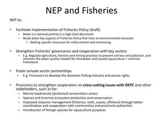 NEP and Fisheries
NEP to:
• Facilitate implementation of Fisheries Policy (draft)
– Make it a national priority in a high-level document
– Break down key aspects of Fisheries Policy that have an environmental character
• Getting specific resources for enforcement and monitoring
• Strengthen Fisheries’ governance and cooperation with key sectors
– E.g. Regulate agriculture, forestry and mining practices to prevent soil loss and pollution, and
maintain the water quality needed for freshwater and coastal aquaculture > common
framework
• Foster private sector partnerships
• E.g. Provisions to develop the domestic fishing industry and access rights
• Provisions to strengthen cooperation on cross-cutting issues with DEPC and other
stakeholders, such as for:
– Marine biodiversity (protected conservation areas)
– Species and (marine) ecosystem protection and conservation
– Improved resource management (fisheries, reefs, coasts, offshore) through better
coordination and cooperation with communities and provincial authorities
– Introduction of foreign species for aquaculture purposes
 