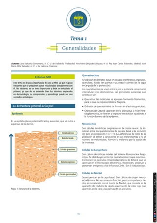 13
1.1. Estructura general de la piel
Epidermis
Es un epitelio plano poliestratificado y avascular, que se nutre a
expensas de la dermis.
Queratinocitos
Se agrupan en estratos: basal (es la capa proliferativa), espinoso,
granuloso, lúcido (en palmas y plantas) y córneo (es la capa
encargada de la protección).
Los queratinocitos se unen entre sí por la sustancia cementante
intercelular y los desmosomas. Las principales sustancias que
sintetizan son:
• Queratina: las moléculas se agrupan formando filamentos,
para lo que es imprescindible la filagrina.
• Gránulos de queratohialina: se forman en el estrato granuloso.
• Gránulos de Odland: aparecen en la granulosa, a nivel intra-
citoplasmático, se liberan al espacio extracelular ayudando a
la función barrera de la epidermis.
Melanocitos
Son células dendríticas originadas en la cresta neural. Se lo-
calizan entre los queratinocitos de la capa basal y de la matriz
del pelo en proporción 1:4-1:10. Las diferencias de color de la
población se deben a variaciones en sus melanosomas y no al
número de melanocitos. Forman la melanina por la acción de
la tirosinasa.
Células de Langerhans
Son células dendríticas móviles del Sistema Mononuclear Fago-
cítico. Se distribuyen entre los queratinocitos (capa espinosa).
Contienen los gránulos intracitoplasmáticos de Birbeck que se
aprecian en el microscopio electrónico. Reconocen, procesan y
presentan antígenos a los linfocitos CD4+. Son S-100 positivas.
Células de Merkel
Se encuentran en la capa basal. Son células de origen neuro-
ectodérmico. No se conoce su función, pero su importancia ra-
dica en su relación con el tumor de Merkel, que consiste en la
aparición de nódulos de rápido crecimiento de color rojo que
aparecen en la cara y las piernas de los ancianos.
Figura 1. Estructura de la epidermis.
Estrato córneo
Estrato lúcido
Estrato granuloso
Estrato espinoso
Estrato germinativo
Autores: Jara Valtueña Santamaría, H. C. U. de Valladolid (Valladolid). Ana María Delgado Márquez, H. U. Rey Juan Carlos (Móstoles, Madrid). José
María Ortiz Salvador, H. C. U de Valencia (Valencia).
Generalidades
Tema 1
Enfoque MIR
Este tema es de poca importancia de cara al MIR, ya que es poco
frecuente que se pregunten datos relacionados directamente con
él. No obstante, es un tema importante y debe ser estudiado el
primero, ya que de no entender bien los términos empleados
en dermatología, su comprensión y aprendizaje puede ser una
verdadera entelequia.
 