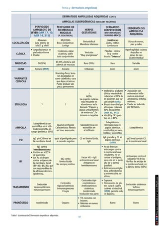 Tema 4 · Dermatosis ampollosas
37
Tabla 1 (continuación). Dermatosis ampollosas adquiridas.
DERMATOSIS AMPOLLOSAS ADQUIRIDAS (CONT.)
AMPOLLAS SUBEPIDÉRMICAS (NIKOLSKY NEGATIVO)
PENFIGOIDE
AMPOLLOSO DE
LEVER (MIR 17, 10;
MIR 14, 215)
PENFIGOIDE DE
MEMBRANAS
MUCOSAS
(P. CICATRICIAL)
HERPES
GESTATIONIS
DERMATITIS
HERPETIFORME
(ENFERMEDAD DE
DUHRING-BROCQ)
EPIDERMÓLISIS
AMPOLLOSA
ADQUIRIDA
LOCALIZACIÓN
Abdomen
Cara interna de
MMSS y MMII
MUCOSAS
Boca>Conjuntiva>
Laringe
Periumbilical
Miembros inferiores
(simétricas)
Codos, rodillas
Lumbosacro
Dorso de manos,
pies y codos
CLÍNICA
• Ampollas tensas en
piel urticariforme
• Prurito
Tendencia a dejar
cicatrices, sobre
todo conjuntivales
Vesículas
“Muy pruriginosas”
Pápulas – vesícu-
las y costras
Prurito “intenso”
Hiperfragilidad cutánea
Ampollas en
zonas de roce
Cicatriz residual
MUCOSAS Sí (30%)
El 30% afecta la piel
además de mucosas
Raro (20%) Raro Variable
EDAD Anciano (MIR) Anciano Embarazo Joven Joven
VARIANTES
CLÍNICAS
Brunsting-Perry: lesio-
nes localizadas en
cuero cabelludo y cara
que dejan cicatrices
Puede producir alo-
pecia permanente
ETIOLOGÍA ? ?
?
NOTA:
La erupción cutánea
más frecuente en
el embarazo es la
llamada “Pápulas y
placas urticariformes
de embarazo”, la
inmuno es negativa
• Intolerancia al gluten
(clínica intestinal de
celíaca) en el 30% de
los pacientes que cur-
san con DH (MIR).
• Biopsia intestinal po-
sitiva para celiaquía
90% de pacientes
(MIR 15, 145).
• HLA B8 y DR3 posi-
tivo en el 80%.
• Asociación con
enfermedad infla-
matoria intestinal,
amiloidosis, linfoma,
mieloma.
• Puede ser inducido
por fármacos.
AMPOLLA
Subepidérmica con
eosinófilos en el infil-
trado (eosinofilia en
sangre periférica: 50%)
Igual al penfigoide
Característico: fibrosis
en fases avanzadas
Subepidérmica con
eosinófilos en
el infiltrado
Subepidérmica
Microabscesos en
papilas dérmicas
constituidos por neu-
trófilos y eosinófilos
Subepidérmica
IFD
IgG y/o C3 lineal en
la membrana basal
Igual al penfigoide pero
a menudo negativa
C3 en lámina lúcida,
IgG
IgA granular y C3 en
papilas dérmicas
(MIR)
IgG lineal con/sin C3
en la membrana basal
IFI
IgG contra
hemidesmosoma
• Positivo en el 75%
de pacientes.
• Los Ac se dirigen
contra antígenos de
la membrana basal
(BP180 y BP230), que
son responsables de
la adhesión dérmico-
epidérmica.
IgG contra
lámina lúcida
No siempre positiva
Factor HG + IgG
antimembrana basal
Antígeno en
hemidesmosoma
• No se detectan
anticuerpos contra
la membrana basal
circulantes, no se
conoce el antígeno,
pero está en la parte
alta de la dermis
(papilas).
• Anticuerpos antiglia-
dina, antiendomisio
y antirreticulina po-
sitivos.
Anticuerpos contra el
colágeno VII de las
fibrillas de anclaje de
la membrana basal, en
la lámina densa (50%)
TRATAMIENTO
Corticoides
tópicos/sistémicos
Inmunosupresores
Corticoides
tópicos/sistémicos
Inmunosupresores
Cirugía
Corticoides tópi-
cos/sistémicos
Antihistamínicos
sistémicos
Autolimitado
Involución tras parto
• Dapsona.
• Dieta exenta de glu-
ten, cura el cuadro
cutáneo e intestinal
(MIR), permite redu-
cir dapsona.
Corticoides sistémicos
Sulfona
Inmunosupresores
PRONÓSTICO Autolimitado Ceguera
• 5% neonatos con
lesiones.
• Rebrotes en nuevos
embarazos.
Bueno Bueno
 