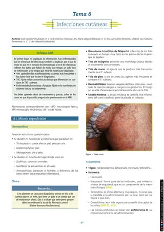 40
Abreviaturas correspondientes son: M/O: microscopio óptico;
M/E microscopio electrónico; LW: luz de Wood.
6.1. Micosis superficiales
Dermatofitos
Parasitan estructuras queratinizadas.
• Se dividen en función de la estructura que parasitan en:
- Trichophyton: puede afectar piel, pelo y/o uña.
- Epidermophyton: piel.
- Microsporum: piel y pelo.
• Se dividen en función del lugar donde viven en:
- Zoofílicos: parasitan animales.
- Geofílicos: se encuentran en el suelo.
- Antropofílicos: parasitan al hombre, a diferencia de los
otros tienen poca respuesta inflamatoria.
Clínica
• Granuloma tricofítico de Majocchi: infección de los folí-
culos por un hongo, muy típico en las piernas de las mujeres
que se depilan.
• Tiña de incógnito: presenta una morfología atípica debido
al tratamiento con corticoides.
• Tiña de mano: el agente que la produce más frecuente-
mente es el T. rubrum.
• Tiña de pies: o pie de atleta (su agente más frecuente es
también el T. rubrum).
• Dermatofítides: lesiones alejadas del foco infeccioso, resul-
tado de reacción alérgica a hongos o sus productos. El hongo
no se aísla. Desaparece espontáneamente al curar la tiña.
• Sicosis micótica: la sicosis micótica es como la tiña inflama-
toria del cuero cabelludo pero localizada en la barba.
Tratamiento
• Tópico: ciclopiroxolamina, ketoconazol, miconazol, terbinafina...
• Sistémico.
- Fluconazol.
- Itraconazol: forma parte de los imidazoles, que inhiben la
síntesis de ergosterol, que es un componente de la mem-
brana fúngica (MIR).
- Terbinafina: es el más efectivo y muy seguro, no sirve para
la Candida si lo administramos por vía oral, pero por vía
tópica sí que lo es.
- Griseofulvina: es el más seguro y se usa en la tiña capitis de
los niños (MIR 11, 153).
- Las micosis profundas se tratan con anfotericina B, vía
intravenosa (única vía de administración).
Recuerda...
Si te plantean un caso para diagnóstico piensa en tiña si te
cuentan que es un niño, que tiene un gato o un conejo que tan
de moda están ahora. Ojo si te dicen que tiene perro porque
debe encendérsete la luz de la Rickettsia conorii
(Fiebre Botonosa Mediterránea).
Figura 1. Tinea cruris.
Infecciones cutáneas
Tema 6
Autores: José María Ortiz Salvador, H. C. U de Valencia (Valencia). Ana María Delgado Márquez, H. U. Rey Juan Carlos (Móstoles, Madrid). Jara Valtueña
Santamaría, H. C. U. de Valladolid (Valladolid).
Enfoque MIR
En primer lugar no dupliques la información, hay enfermedades
que en el manual de Infecciosas también se explican, por lo que lo
mejor es que en el temario de Dermatología o en el de Infecciosas
rellenes los datos que faltan de modo que tengas un solo foco
de información y no tengas que mirar la materia por duplicado.
• VIH: apréndete las manifestaciones cutáneas más frecuentes y
los datos clave que te dan el diagnóstico.
• TBC: fíjate en las características clínicas que diferencian los sub-
tipos de TBC cutáneas.
• Enfermedades bacterianas y fúngicas: fíjate en la manifestación
cutánea típica y su tratamiento.
No debes aprender dosis de tratamiento y pautas, salvo en los
casos en que hayan sido preguntadas previamente en el MIR.
 