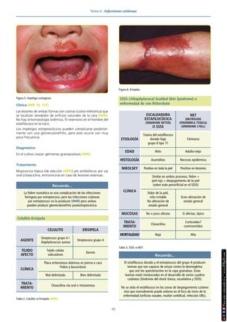 Tema 6 · Infecciones cutáneas
43
Clínica (MIR 16, 157)
Las lesiones de ambas formas son costras (costra melicérica) que
se localizan alrededor de orificios naturales de la cara (MIR).
No hay sintomatología sistémica. El reservorio en el hombre del
estafilococo es la nariz.
Los impétigos estreptocócicos pueden complicarse posterior-
mente con una glomerulonefritis, pero esto ocurre con muy
poca frecuencia.
Diagnóstico
En el cultivo crecen gérmenes grampositivos (MIR).
Tratamiento
Mupirocina tópica (de elección (MIR)) y/o antibióticos por vía
oral (cloxaciclina, eritromicina) en caso de lesiones extensas.
Celulitis-Erisipela
SSSS (Sthaphylococal Scalded Skin Syndrome) o
enfermedad de von Rittershain
Recuerda...
La fiebre reumática es una complicación de las infecciones
faríngeas por estreptococo, pero las infecciones cutáneas
por estreptococo no la producen (MIR) pero ambas
pueden producir glomerulonefritis postestreptocócica.
Tabla 2. Celulitis vs Erisipela (MIR).
CELULITIS ERISIPELA
AGENTE
Streptococo grupo A /
Staphylococcus aureus
Streptococo grupo A
TEJIDO
AFECTO
Tejido celular
subcutáneo
Dermis
CLÍNICA
Placa eritematosa dolorosa en pierna o cara
Fiebre y leucocitosis
Mal delimitada Bien delimitada
TRATA-
MIENTO
Cloxacilina vía oral o intravenosa
Figura 6. Erisipela.
Tabla 3. SSSS vs NET.
ESCALDADURA
ESTAFILOCÓCICA
(SÍNDROME RITTER)
O SSSS
NET
(NECRÓLISIS
EPIDÉRMICA TÓXICA)
(SÍNDROME LYELL)
ETIOLOGÍA
Toxina del estafilococo
dorado fago
grupo II tipo 71
Fármacos
EDAD Niño Adulto-viejo
HISTOLOGÍA Acantólisis Necrosis epidérmica
NIKOLSKY Positivo en toda la piel Positivo en lesiones
CLÍNICA
Similar en ambos procesos, fiebre +
piel roja + despegamiento de la piel
(sobre todo periorificial en el SSSS)
Dolor de la piel,
niño irritable
No alteración de
estado general
Gran afectación de
estado general
MUCOSAS No o poco afectas Sí afectas, típico
TRATA-
MIENTO
Cloxacilina
Corticoides?
controvertidos
MORTALIDAD Baja Alta
Recuerda...
El estafilococo dorado y el estreptococo del grupo A producen
toxinas que son capaces de actuar contra la desmogleína
que une los queratinocitos en la capa granulosa. Estas
toxinas están involucradas en el desarrollo de varios cuadros
cutáneos (Síndrome del shock tóxico, escarlatina y SSSS).
No se aísla el estafilococo en las zonas de despegamiento cutáneo
sino que normalmente puede aislarse en el foco de inicio de la
enfermedad (orificios nasales, muñón umbilical, infección ORL).
Figura 5. Impétigo contagioso.
 