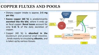 COPPER FLUXES AND POOLS
• Dietary copper intake is approx. 2-5 mg
per day.
• Excess copper (60 %) is predominantly
excreted into the bile, where it ends up
as fecal copper. Renal losses account for
only 5-15 % of the daily excretion of
copper.
• Copper (40 %) is absorbed in the
duodenum and proximal small intestine.
, binds mainly to circulating albumin, and
is taken up by various tissues.
5
 