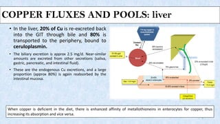 COPPER FLUXES AND POOLS: liver
• In the liver, 20% of Cu is re-excreted back
into the GIT through bile and 80% is
transported to the periphery, bound to
ceruloplasmin.
• The biliary excretion is approx 2.5 mg/d. Near-similar
amounts are excreted from other secretions (saliva,
gastric, pancreatic, and intestinal fluid).
• These are the endogenous Cu excretions, and a large
proportion (approx 80%) is again reabsorbed by the
intestinal mucosa.
7
When copper is deficient in the diet, there is enhanced affinity of metallothioneins in enterocytes for copper, thus
increasing its absorption and vice versa.
 