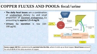 COPPER FLUXES AND POOLS: fecal/urine
• The daily fecal losses are a combination
of unabsorbed dietary Cu and small
proportion of excreted endogenous Cu
amounting to approx 1.5–4 mg/d.
• Urinary Cu excretion is low (10–
100 μg/d).
8
Excess copper (60 %) is predominantly excreted into the bile, where it ends up as fecal copper. Renal losses account
for only 5-15 % of the daily excretion of copper.
 