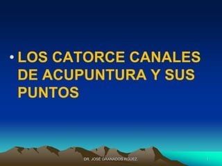 • LOS CATORCE CANALES
DE ACUPUNTURA Y SUS
PUNTOS
DR. JOSÉ GRANADOS RGUEZ. 1
 