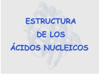 ESTRUCTURA
DE LOS
ÁCIDOS NUCLEICOS
 