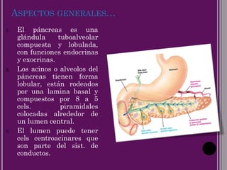ASPECTOS GENERALES…
1. El páncreas es una
glándula tuboalveolar
compuesta y lobulada,
con funciones endocrinas
y exocrinas.
2. Los acinos o alveolos del
páncreas tienen forma
lobular, están rodeados
por una lamina basal y
compuestos por 8 a 5
cels. piramidales
colocadas alrededor de
un lumen central.
3. El lumen puede tener
cels centroacinares que
son parte del sist. de
conductos.
 