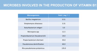 Production of vitamin B12 | PPTX