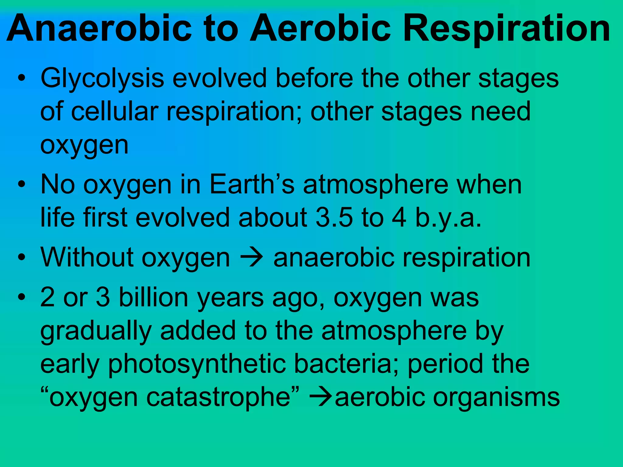 Anaerobic to Aerobic Respiration
• Glycolysis evolved before the other stages
of cellular respiration; other stages need
oxygen
• No oxygen in Earth’s atmosphere when
life first evolved about 3.5 to 4 b.y.a.
• Without oxygen  anaerobic respiration
• 2 or 3 billion years ago, oxygen was
gradually added to the atmosphere by
early photosynthetic bacteria; period the
“oxygen catastrophe” aerobic organisms
 
