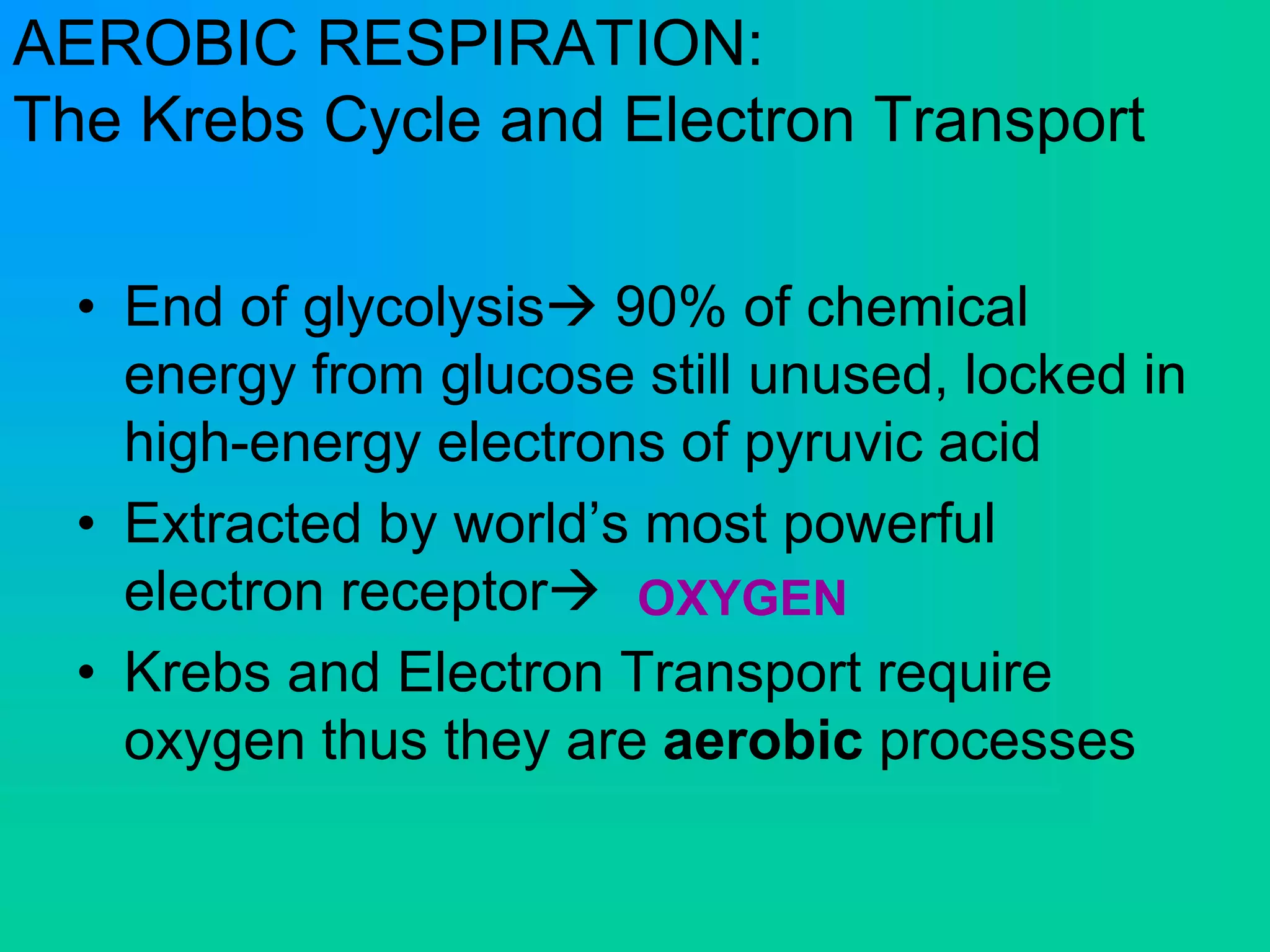 AEROBIC RESPIRATION:
The Krebs Cycle and Electron Transport
• End of glycolysis 90% of chemical
energy from glucose still unused, locked in
high-energy electrons of pyruvic acid
• Extracted by world’s most powerful
electron receptor
• Krebs and Electron Transport require
oxygen thus they are aerobic processes
OXYGEN
 