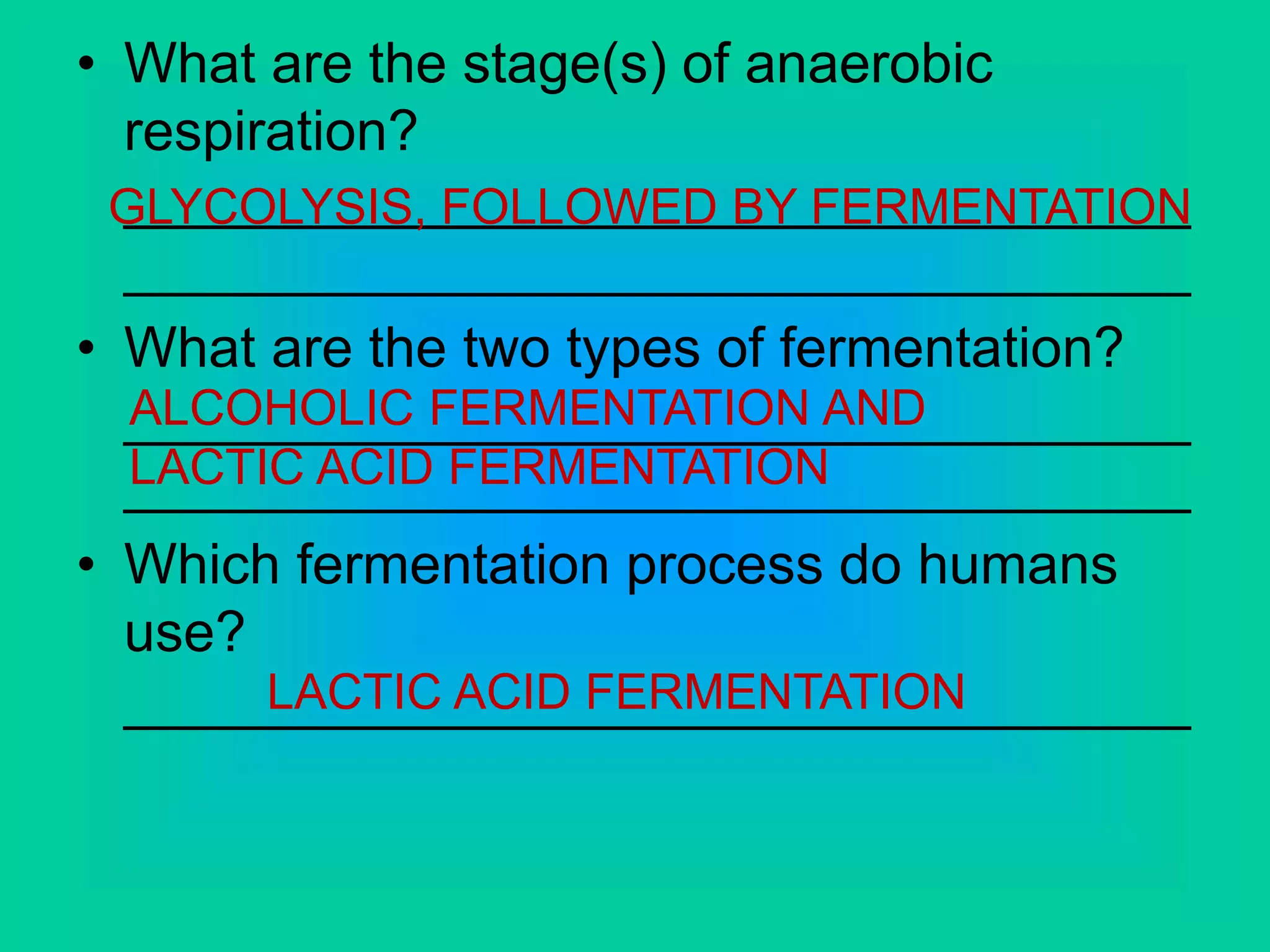 • What are the stage(s) of anaerobic
respiration?
__________________________________
__________________________________
• What are the two types of fermentation?
__________________________________
__________________________________
• Which fermentation process do humans
use?
__________________________________
GLYCOLYSIS, FOLLOWED BY FERMENTATION
ALCOHOLIC FERMENTATION AND
LACTIC ACID FERMENTATION
LACTIC ACID FERMENTATION
 