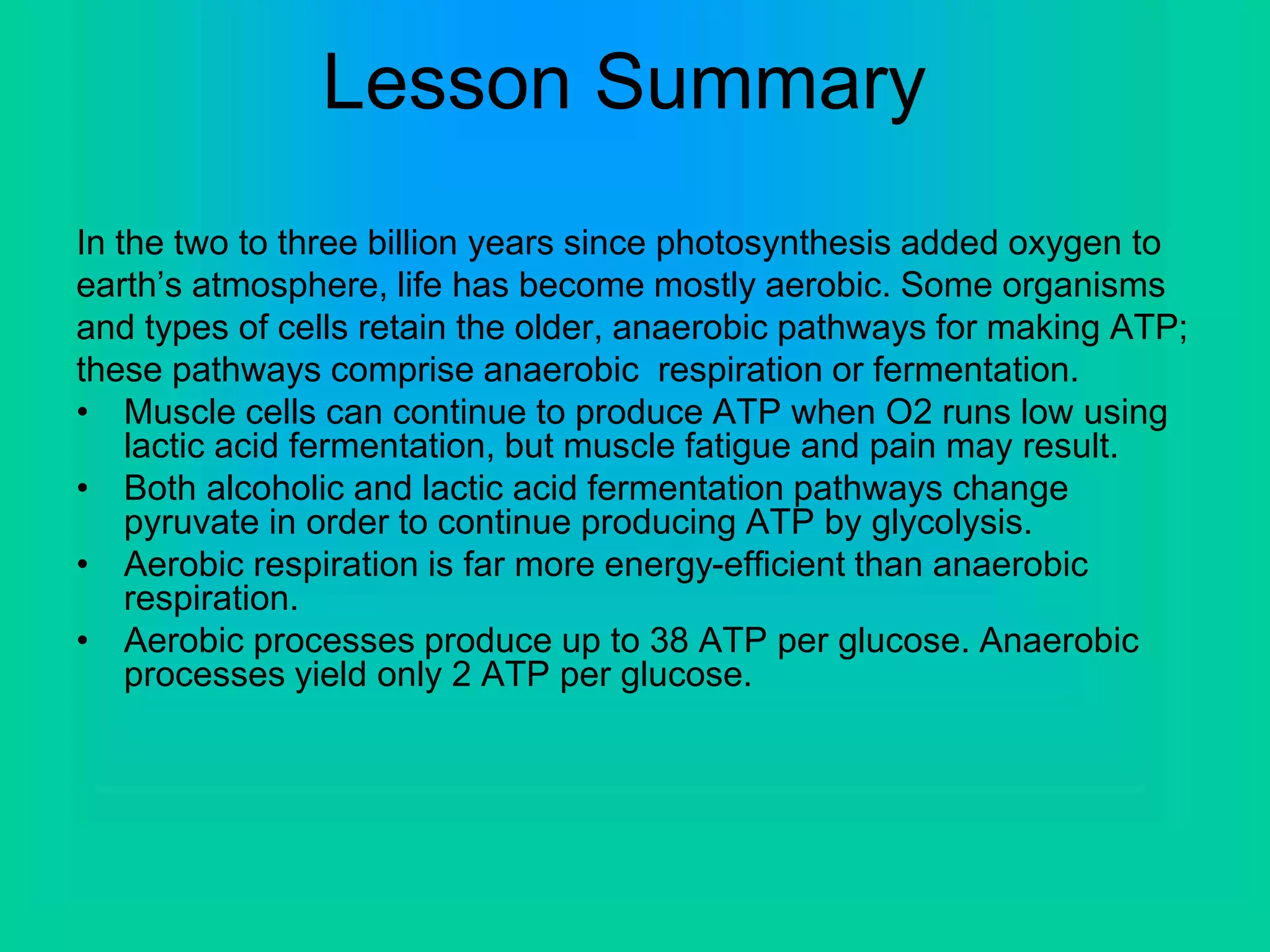 Lesson Summary
In the two to three billion years since photosynthesis added oxygen to
earth’s atmosphere, life has become mostly aerobic. Some organisms
and types of cells retain the older, anaerobic pathways for making ATP;
these pathways comprise anaerobic respiration or fermentation.
• Muscle cells can continue to produce ATP when O2 runs low using
lactic acid fermentation, but muscle fatigue and pain may result.
• Both alcoholic and lactic acid fermentation pathways change
pyruvate in order to continue producing ATP by glycolysis.
• Aerobic respiration is far more energy-efficient than anaerobic
respiration.
• Aerobic processes produce up to 38 ATP per glucose. Anaerobic
processes yield only 2 ATP per glucose.
 