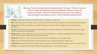 Musalar, Yunan mitolojisindeki ilham perileridir. Yunanca “Mousa”, Latince
“Musa” olarak adlandırılırlar. Bazı kaynaklarda “Müzler” olarak da
karşımıza çıkarlar. “Mousa” kelimesi kökeni Yunanca akıl, düşünce,
yaratıcılık gücü kavramlarını içeren “men” kökünden gelmektedir.
• Kaliope: Epik şiirin Musa’sıdır. Sağ elinde kalem, sol elinde ise kitap taşır.
• Klio: Tarih Musa’sıdır. Bir kağıt rulosu veya bir kitap sandığı ile defne yaprakları ile taçlanmış bir şekilde görülür.
• Erato: Lirik şiir Musa’sıdır. Mersin ve güllerle taçlanmış olarak bir elinde lir, diğerinde ise mızrap taşırken
görebiliriz.
• Euterpe: Müzik Musa’sıdır. Çiçeklerle taçlandırılmıştır ve müzik notaları taşır. Yanında bir flüt, obua veya diğer
müzik enstrümanları da bulunabilir.
• Melpomene: Trajedi Musa’sıdır. Üzüm yaprakları ile taçlandırılmış ve sandalet giydirilmiştir. Bir elinde trajik bir
maske veya bir hançer, diğerinde ise asalar ve taçlar taşır.
• Polimnia: Hitabet ve yazım sanatı Musa’sıdır. İncirlerle taçlandırılmış ve beyaz giyinmiştir.
• Talia: Komedi Musa’sıdır. Başında sarmaşıklardan bir taç ile sağ elinde komik bir maske taşır.
• Terpsikore: Dansın Musa’sıdır. Çok genç, neşeli ve canlı bir kızdır. Çiçeklerden yapılmış taç ile arp çalarak yürür.
• Urania: Astronomi’nin Musa’sıdır. Yıldızlarla taçlandırılmıştır ve mavi bir giysi giyer.
 