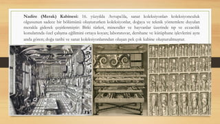 Nadire (Merak) Kabinesi: 16. yüzyılda Avrupa’da, sanat koleksiyonlar› koleksiyonculuk
olgusunun sadece bir bölümünü oluştururken koleksiyonlar, doğaya ve teknik yöntemlere duyulan
merakla giderek çeşitlenmiştir: Bitki türleri, mineraller ve hayvanlar üzerinde tıp ve eczacılık
konularında özel çalışma eğilimini ortaya koyan; laboratuvar, dershane ve kütüphane işlevlerini aynı
anda gören; doğa tarihi ve sanat koleksiyonlarından oluşan pek çok kabine oluşturulmuştur.
 