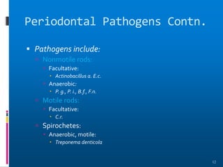 Periodontal Pathogens Contn.
 Pathogens include:
 Nonmotile rods:
 Facultative:
 Actinobacillus a. E.c.
 Anaerobic:
 P. g., P. i., B.f., F.n.
 Motile rods:
 Facultative:
 C.r.
 Spirochetes:
 Anaerobic, motile:
 Treponema denticola
12
 