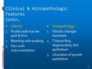 Clinical & Histopathologic
Features
Contn…
 Clinical:
1. Pocket wall may be
pink & firm
2. Bleeding with probing
3. Pain with
instrumentation
 Histopathology:
1. Fibrotic changes
dominate
2.  blood flow,
degenerated, thin
epithelium
3. Ulceration of pocket
epithelium
23
 