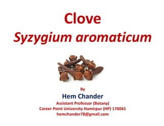 Syzygium aromaticum
By
Hem Chander
Assistant Professor (Botany)
Career Point University Hamirpur (HP) 176041
hemchander78@gmail.com
 