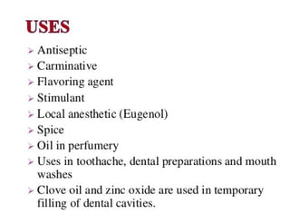 12. Clove.pdf