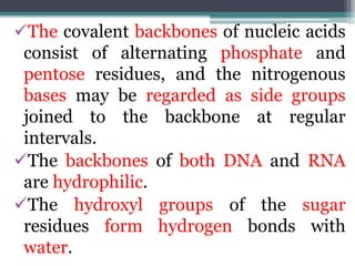 The covalent backbones of nucleic acids
consist of alternating phosphate and
pentose residues, and the nitrogenous
bases may be regarded as side groups
joined to the backbone at regular
intervals.
The backbones of both DNA and RNA
are hydrophilic.
The hydroxyl groups of the sugar
residues form hydrogen bonds with
water.
 