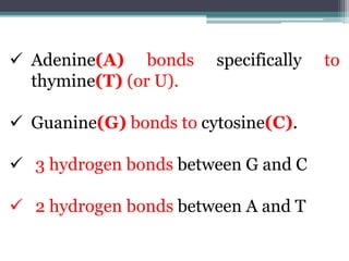  Adenine(A) bonds specifically to
thymine(T) (or U).
 Guanine(G) bonds to cytosine(C).
 3 hydrogen bonds between G and C
 2 hydrogen bonds between A and T
 