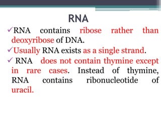RNA
RNA contains ribose rather than
deoxyribose of DNA.
Usually RNA exists as a single strand.
 RNA does not contain thymine except
in rare cases. Instead of thymine,
RNA contains ribonucleotide of
uracil.
 