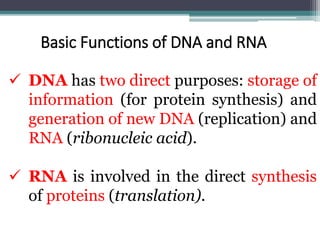 Basic Functions of DNA and RNA
 DNA has two direct purposes: storage of
information (for protein synthesis) and
generation of new DNA (replication) and
RNA (ribonucleic acid).
 RNA is involved in the direct synthesis
of proteins (translation).
 