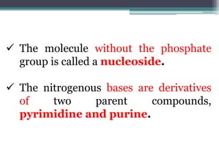  The molecule without the phosphate
group is called a nucleoside.
 The nitrogenous bases are derivatives
of two parent compounds,
pyrimidine and purine.
 