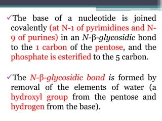 The base of a nucleotide is joined
covalently (at N-1 of pyrimidines and N-
9 of purines) in an N-β-glycosidic bond
to the 1 carbon of the pentose, and the
phosphate is esterified to the 5 carbon.
The N-β-glycosidic bond is formed by
removal of the elements of water (a
hydroxyl group from the pentose and
hydrogen from the base).
 