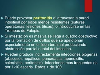  Puede provocar peritonitis al atravesar la pared
intestinal por sitios menos resistentes (suturas
operatorias, lesiones tíficas), o introducirse en las
Trompas de Falopio.
 Si infestación es masiva se llega a cuadro obstructivo
por la formación de ovillos que se apelotonan
especialmente en el ileon terminal produciendo
obstrucción parcial o total del intestino.
 Pueden producir indirectamente infecciones piógenas
(abscesos hepáticos, pancreatitis, apendicitis,
colecistitis, peritonitis). Infecciones mas frecuentes es
por 1-10 ascaris. Raros + de 100.
 