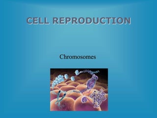 CELL REPRODUCTION
Chromosomes
 