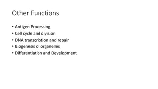 Other Functions
• Antigen Processing
• Cell cycle and division
• DNA transcription and repair
• Biogenesis of organelles
• Differentiation and Development
 