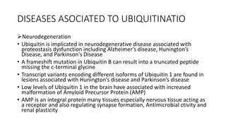 DISEASES ASOCIATED TO UBIQUITINATIO
Neurodegeneration
• Ubiquitin is implicated in neurodegenerative disease associated with
proteostasis dysfunction including Alzheimer's disease, Hunington’s
Disease, and Parkinson's Disease
• A frameshift mutation in Ubiquitin B can result into a truncated peptide
missing the c-terminal glycine
• Transcript variants encoding different isoforms of Ubiquitin 1 are found in
lesions associated with Hunington’s disease and Parkinson’s disease
• Low levels of Ubiquitin 1 in the brain have associated with increased
malformation of Amyloid Precursor Protein (AMP)
• AMP is an integral protein many tissues especially nervous tissue acting as
a receptor and also regulating synapse formation, Antimicrobial ctivity and
renal plasticity
 