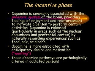 The incentive phase
• Dopamine is commonly associated with the
pleasure system of the brain, providing
feelings of enjoyment and reinforcement
to motivate a person to perform certain
activities. Dopamine is released
(particularly in areas such as the nucleus
accumbens and prefrontal cortex) by
naturally rewarding experiences such as
food, sex, or alcohol.
• dopamine is more associated with
anticipatory desire and motivation
("wanting")
• these dopamine pathways are pathologically
altered in addicted persons
 