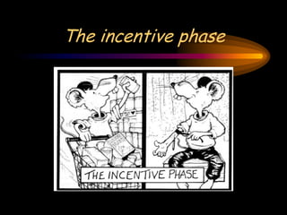 The incentive phase
 