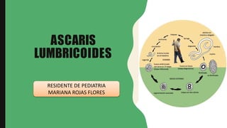 ASCARIS
LUMBRICOIDES
RESIDENTE DE PEDIATRIA
MARIANA ROJAS FLORES
 