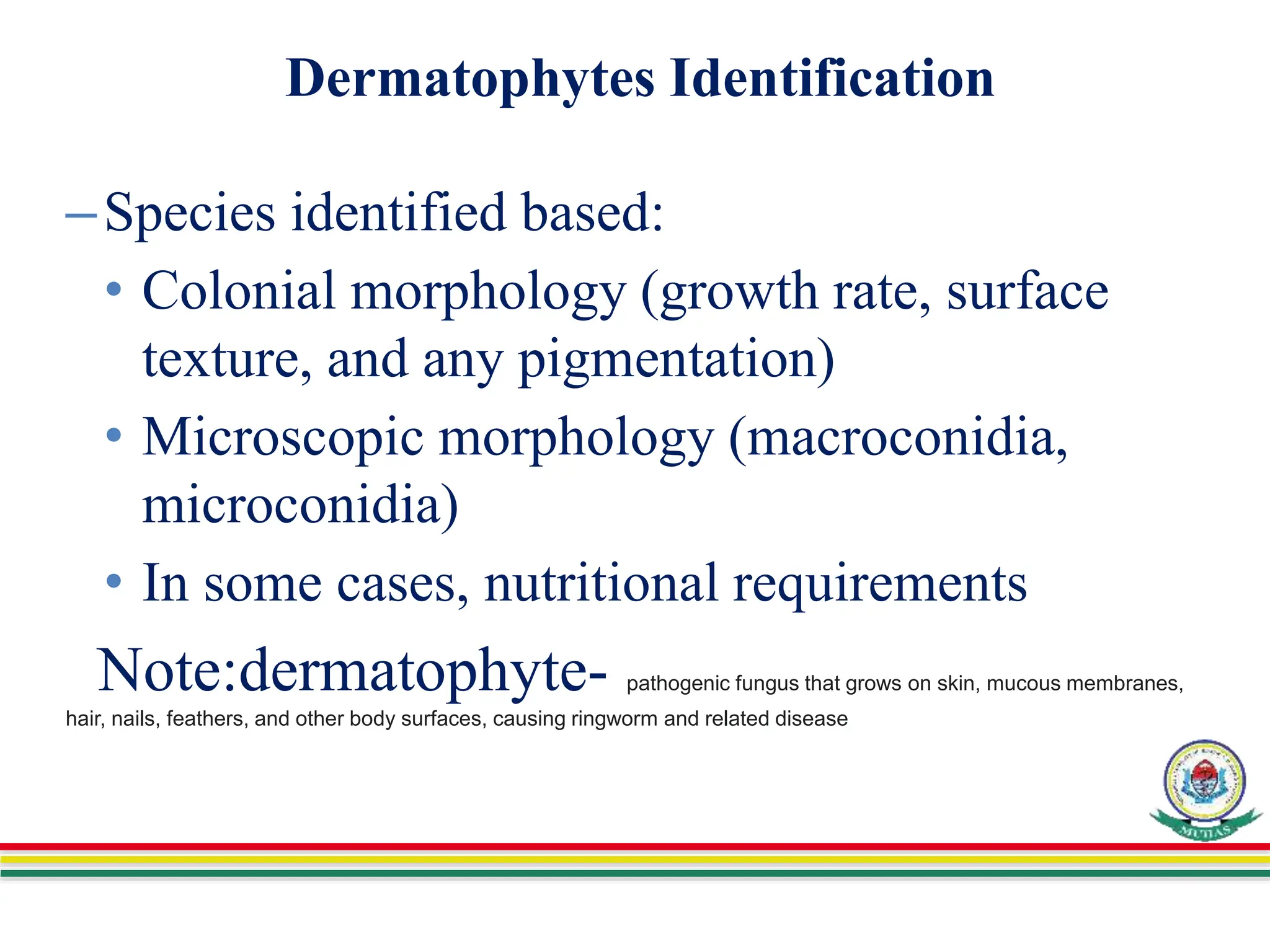 Dermatophytes Identification
–Species identified based:
• Colonial morphology (growth rate, surface
texture, and any pigmentation)
• Microscopic morphology (macroconidia,
microconidia)
• In some cases, nutritional requirements
Note:dermatophyte- pathogenic fungus that grows on skin, mucous membranes,
hair, nails, feathers, and other body surfaces, causing ringworm and related disease
 