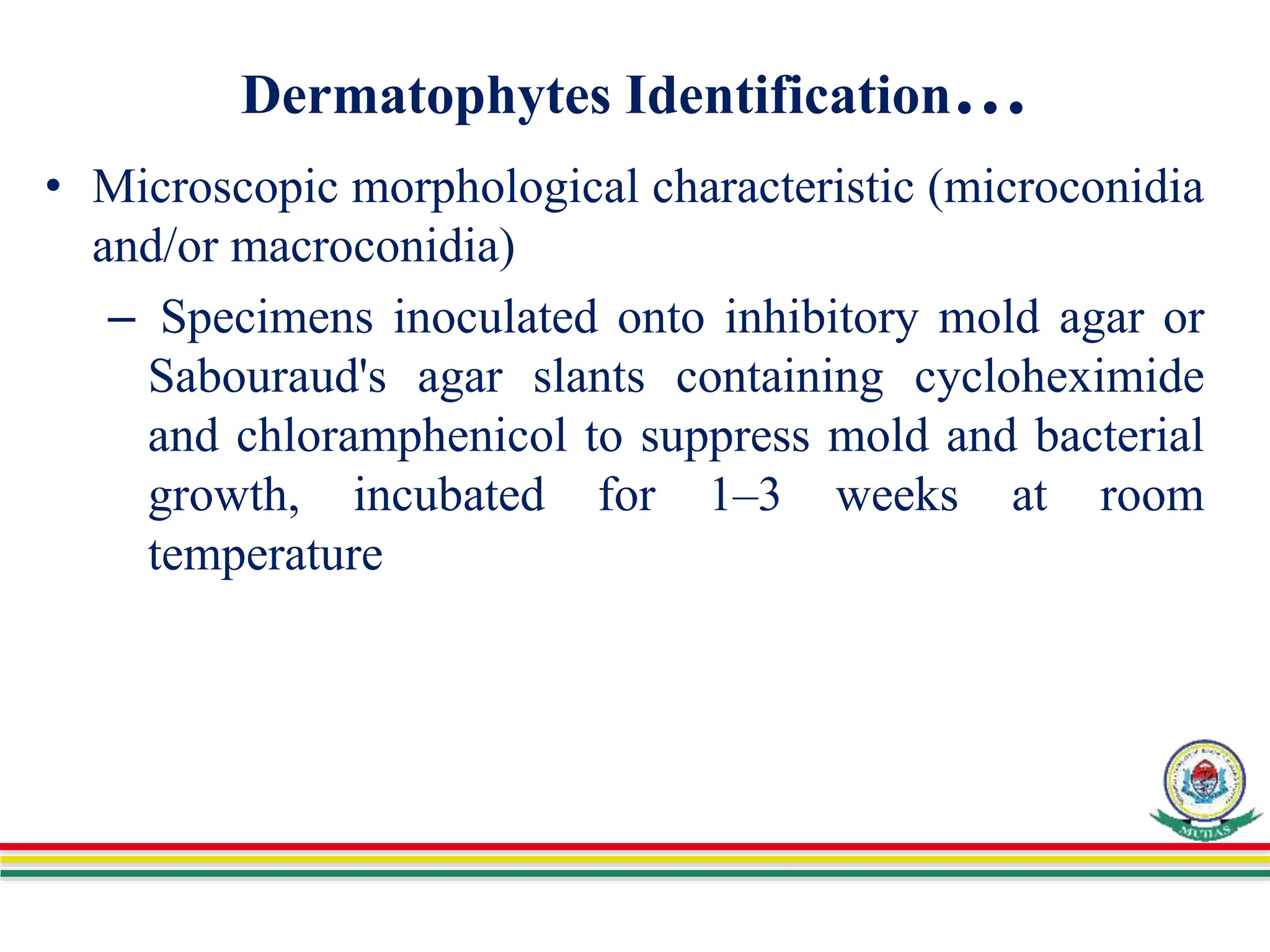 Dermatophytes Identification…
• Microscopic morphological characteristic (microconidia
and/or macroconidia)
– Specimens inoculated onto inhibitory mold agar or
Sabouraud's agar slants containing cycloheximide
and chloramphenicol to suppress mold and bacterial
growth, incubated for 1–3 weeks at room
temperature
 