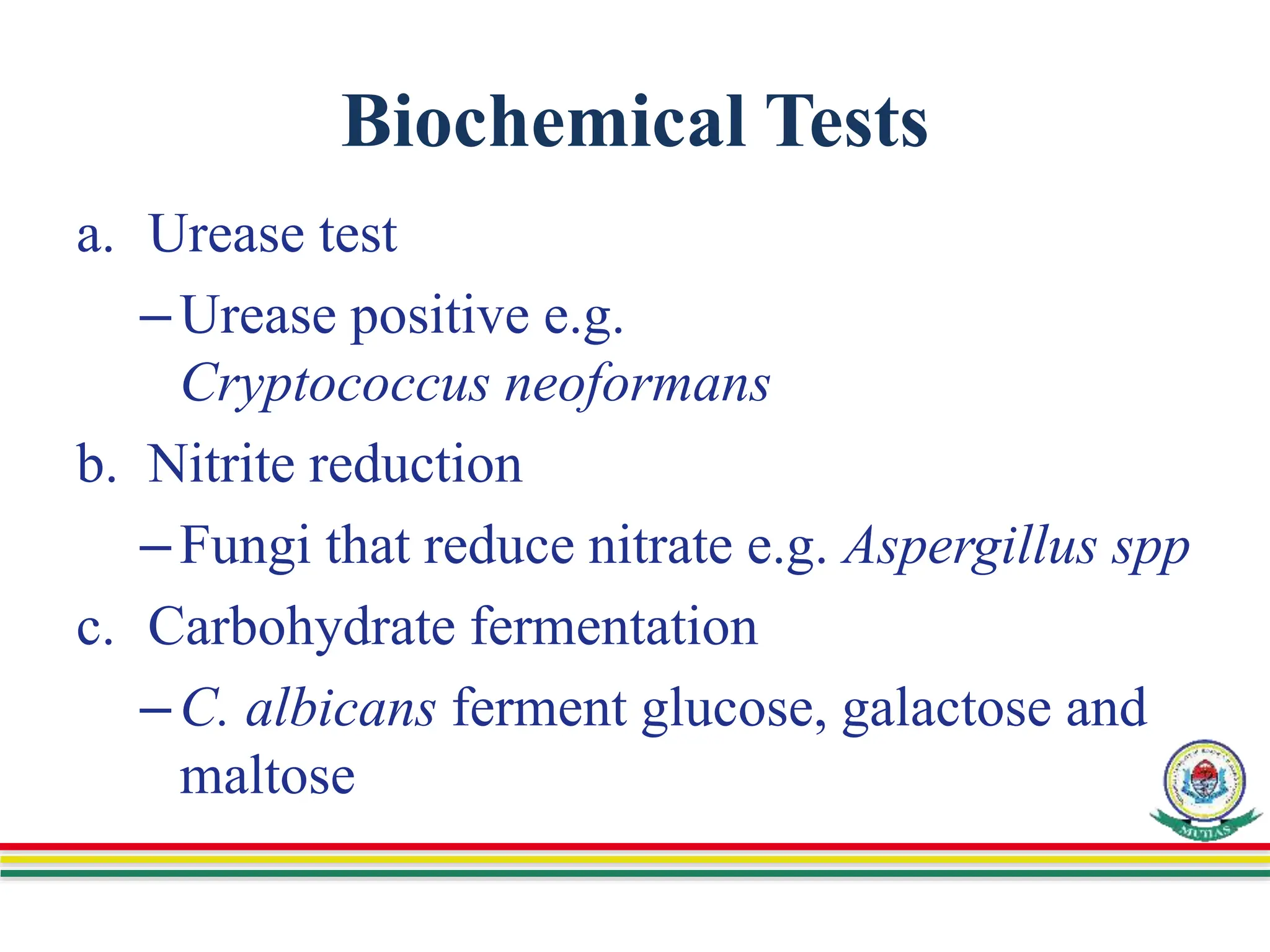 Biochemical Tests
a. Urease test
–Urease positive e.g.
Cryptococcus neoformans
b. Nitrite reduction
–Fungi that reduce nitrate e.g. Aspergillus spp
c. Carbohydrate fermentation
–C. albicans ferment glucose, galactose and
maltose
 