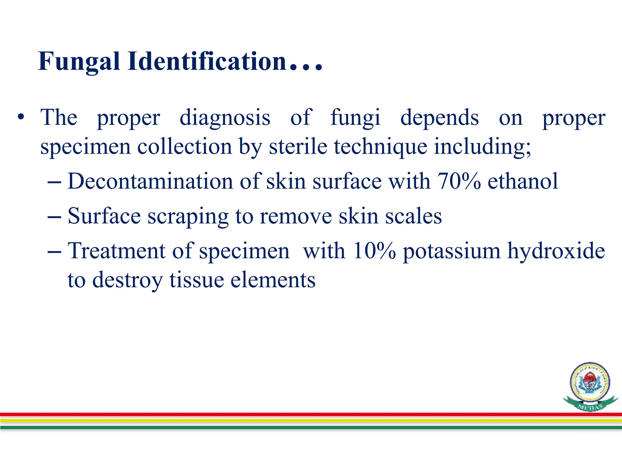 Fungal Identification…
• The proper diagnosis of fungi depends on proper
specimen collection by sterile technique including;
– Decontamination of skin surface with 70% ethanol
– Surface scraping to remove skin scales
– Treatment of specimen with 10% potassium hydroxide
to destroy tissue elements
 