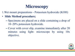 Koh Tablet Method 12. Fungal identification methods-New.ppt