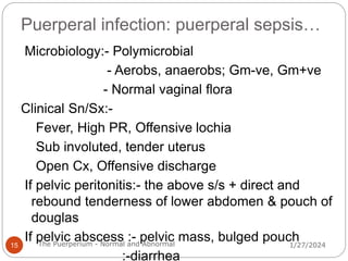Puerperal infection: puerperal sepsis…
Microbiology:- Polymicrobial
- Aerobs, anaerobs; Gm-ve, Gm+ve
- Normal vaginal flora
Clinical Sn/Sx:-
Fever, High PR, Offensive lochia
Sub involuted, tender uterus
Open Cx, Offensive discharge
If pelvic peritonitis:- the above s/s + direct and
rebound tenderness of lower abdomen & pouch of
douglas
If pelvic abscess :- pelvic mass, bulged pouch
:-diarrhea
1/27/2024
15 The Puerperium - Normal and Abnormal
 