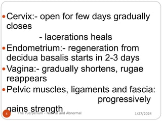 Cervix:- open for few days gradually
closes
- lacerations heals
Endometrium:- regeneration from
decidua basalis starts in 2-3 days
Vagina:- gradually shortens, rugae
reappears
Pelvic muscles, ligaments and fascia:
progressively
gains strength 1/27/2024
4 The Puerperium - Normal and Abnormal
 