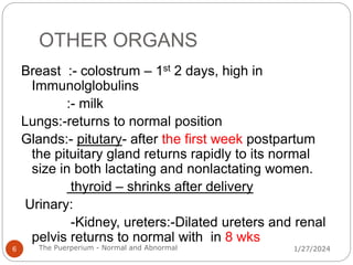 OTHER ORGANS
Breast :- colostrum – 1st 2 days, high in
Immunolglobulins
:- milk
Lungs:-returns to normal position
Glands:- pitutary- after the first week postpartum
the pituitary gland returns rapidly to its normal
size in both lactating and nonlactating women.
thyroid – shrinks after delivery
Urinary:
-Kidney, ureters:-Dilated ureters and renal
pelvis returns to normal with in 8 wks
1/27/2024
6 The Puerperium - Normal and Abnormal
 