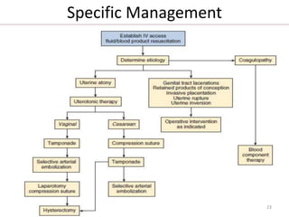 Specific Management
23
 