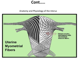 Cont…..
Anatomy and Physiology of the Uterus
5
3.1
 